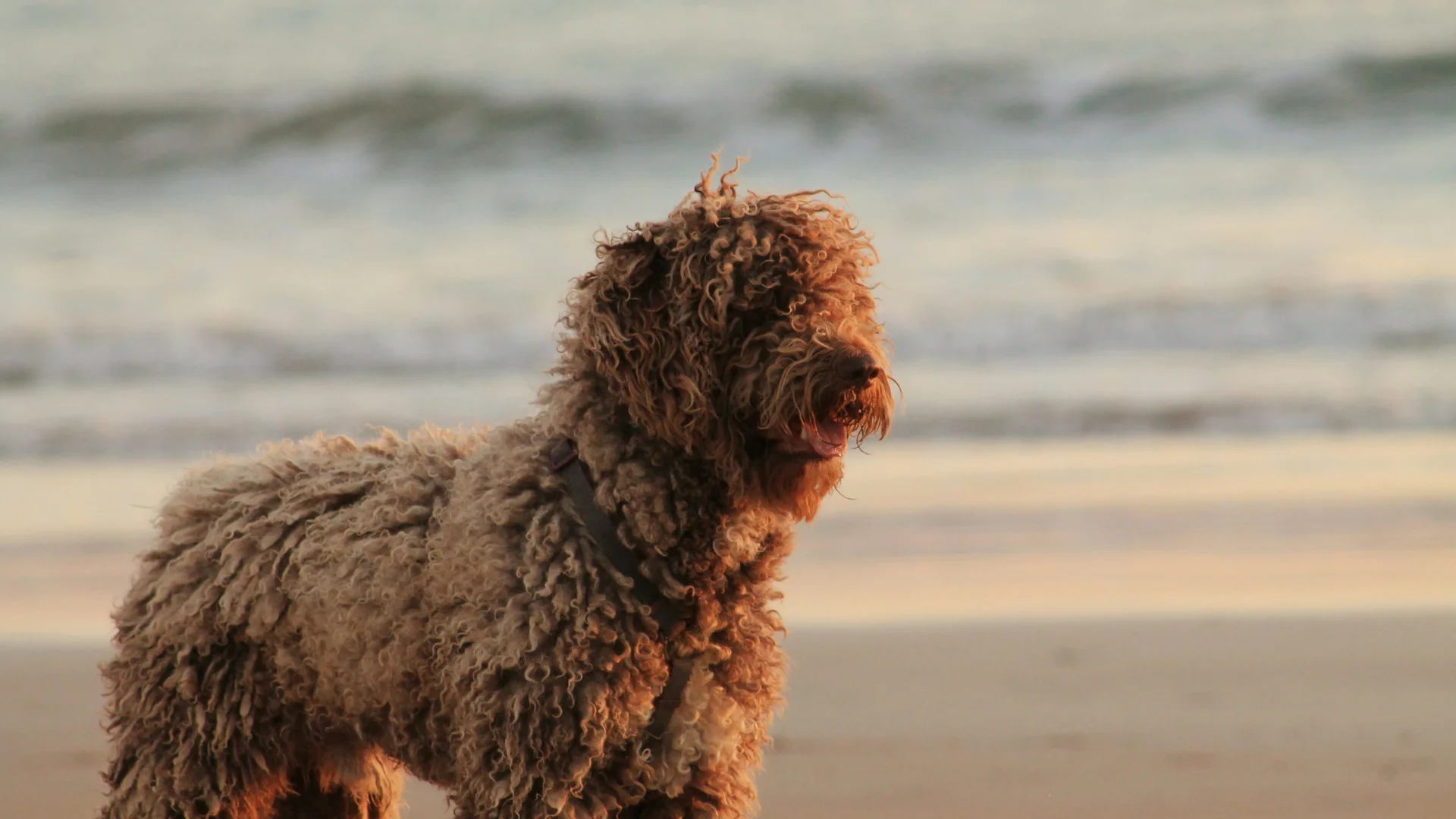 Hotel Marittimo: la base per esplorare la riviera romagnola.