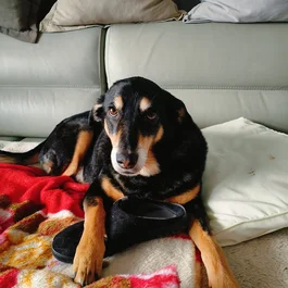 Hotel Marittimo: la base per esplorare la riviera romagnola.